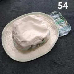 Item thumbnail for item d305fe9a-5d50-43f1-a958-cef91c6373a1