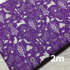 動物柄生地　2m