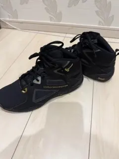 Mizuno ウェーブダイバースLG4 ブラック　22.5cmのサムネイル
