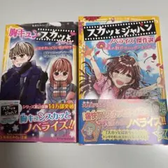 Item thumbnail for item 8f889c7c-d9fe-46d9-84be-29aa48670d89