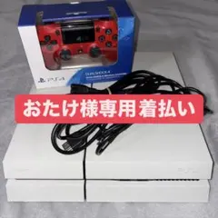 【おたけ様専用 着払い】PS4本体＋コントローラー＋コード