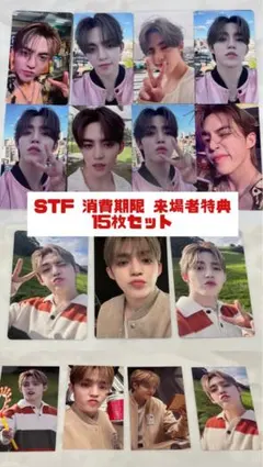 SEVENTEEN エスクプス 来場者限定 15枚セット 日本限定STF消費期限