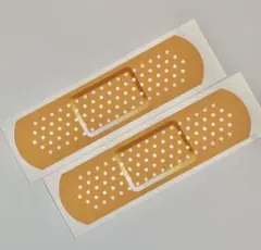 Item thumbnail for item adb74517-642b-4907-92b0-d3672721a1cc