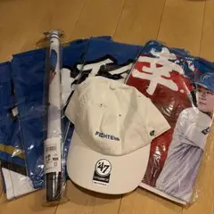 SACLAM サクラム 非売品 Tシャツ キャップ ステッカー ノベルティ SACLAM サクラム 非売品 Tシャツ キャップ ステッカー ノベルティ