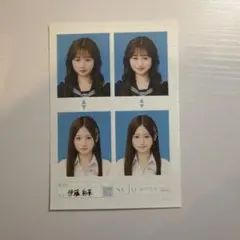 伊藤彩華 seju 証明写真 vol.2