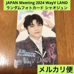 WayV LAND シャオジュン ソロ ランダムトレカ XIAOJUN 威神V
