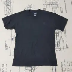 Champion Tシャツ 半袖 ブラック L 黒 刺繍 ロゴ チャンピオン
