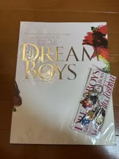 DREAM BOYS グッズパンフレットとキーホルダー
