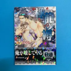 オレンジマーマレード様 リクエスト 5点 まとめ商品