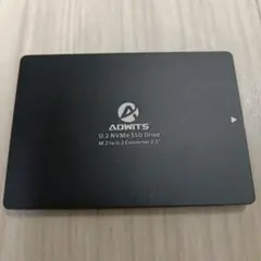 ADWITS U.2 NVMe SSD Drive LU200 2.5インチ