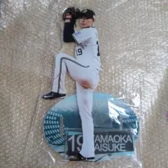 山岡泰輔 アクスタセット 2026年最新】山岡泰輔 アクスタの人気アイテム - メルカリ