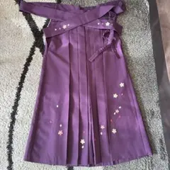 Item thumbnail for item 76f1efe8-9ec6-4445-bd08-0055076bcccd