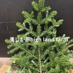 めーちゃん様 リクエスト 2点 まとめ商品