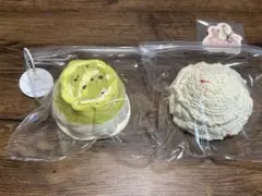 文清 スクイーズ まとめ売り