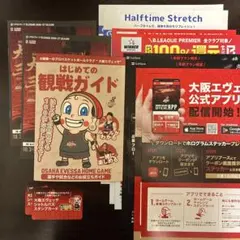 大阪エヴェッサ パンフレット