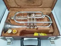 2026年最新】コルネットの人気アイテム - メルカリ