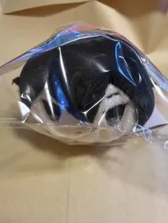 カゲロウプロジェクト もちもちマスコット シンタロー G賞