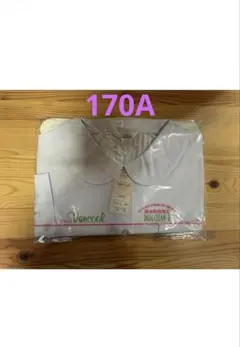 Vancool 女子丸襟スクールブラウス長袖　170A