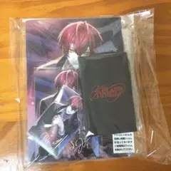VESPERBELL 複製サイン入りアクリルパネル 直筆サイン入りポストカード