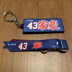 2025年モデル 43番 家豪 キーホルダー