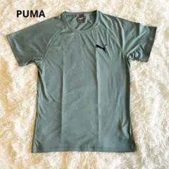 プーマ トレーニング ランニング ジム スポーツウェア 緑　Tシャツロゴ入り