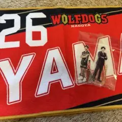 ウルフドッグス名古屋　山崎彰都 グッズセット 2025年最新】山崎彰都の人気アイテム - メルカリ