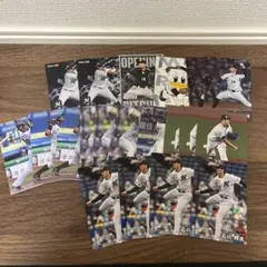 プロ野球チップス 千葉ロッテマリーンズ まとめ売り