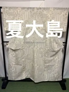 f*0様 ☘️オークション☘️ 【白大島】●泥染●生糸● 身丈 161裄丈 63 m*o様 ☘️オークション☘️ 【白大島紬】○泥染○生糸○ 身丈 163裄丈