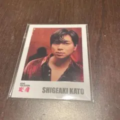 SHISHAMO トレカ サイン 宮崎朝子 - メルカリ
