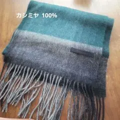 Item thumbnail for item 40e75c88-551d-4292-980d-48163687a224