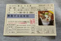☆昭和56年1981年 当時もの オリジナルなめ猫 免許証 矢沢猫吉 - メルカリ