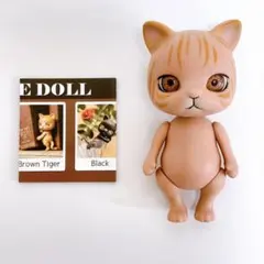 CAPSULE DOLL VOL.1 茶トラ
