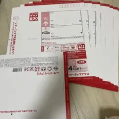 本日限定価格　レターパックプラス600（１１枚セット）