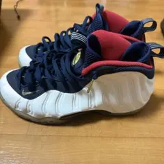 NIKE エアフォームポジット オリンピックのサムネイル