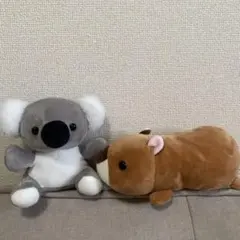 ハッピーズー　コアラ　カピバラ　ぬいぐるみのサムネイル