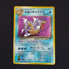 2026年最新】わるいギャラドスの人気アイテム - メルカリ