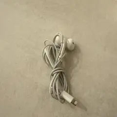 純正　 Lightning接続 イヤフォン ホワイト