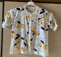 Item thumbnail for item 2220462a-0600-41a0-9310-2c13a6ef1479