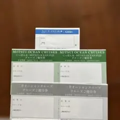 商船三井 株主優待 フェリーサービスクーポン5000円券＋クルーズ券 セットのサムネイル
