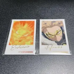 ヒロアカ　エンデヴァー/ホークス　ᴡフォトカードコレクション