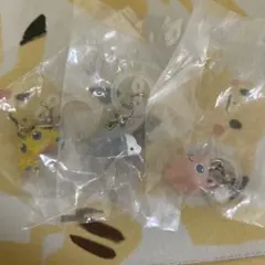 ポケットモンスター　めじるしアクセサリー