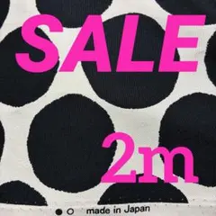 オックス生地　ドット柄