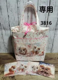 3816　こちらは専用です