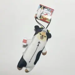 のびしば 北海道 みるーく