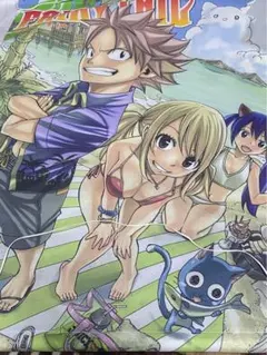 2025年最新】FAIRY TAIL タペストリーの人気アイテム - メルカリ