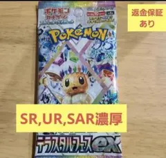 たぬち様専用【複数販売可】テラスタルフェスex　SR以上濃厚2パックセット