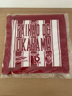 ファジアーノ岡山 応援グッズ