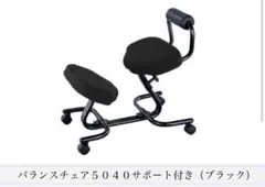 ノルウェー hag balans 5040 ホーグ バランスチェア サポート付き