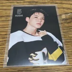 seventeen's HOME ランダムトレカ　ホシ52番