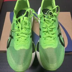 Item thumbnail for item fd260317-f18c-4dfb-b392-6d00377592aa